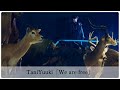 【歌詞付き】TaniYuuki「We are free」