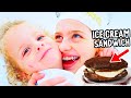 HUGS & ICE CREAM SANDWICHES (easy recipe) w/DISCO & SOCKIE - NORRIS NUTS COOKING