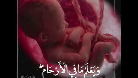 إن الله عنده علم الساعة وينزل الغيث ويعلم ما في الأرحام - سورة لقمان