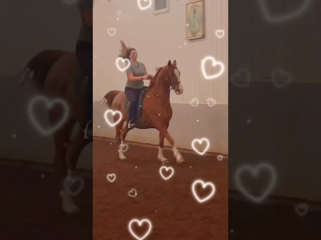 ⚠️FW⚠️ i love his hand gallop it’s so cute class=