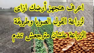 ازاى اجهز الأرض لزراعة الفول الصويا و افضل طرق الزراعة