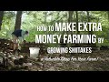 How to Make Extra Money Farming | Grow Shiitake Mushrooms | Organic Permaculture and No-Till Farm Ag