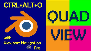 10 Blender Quad View