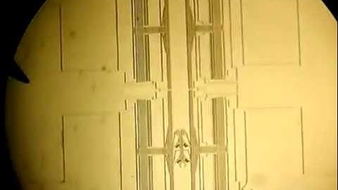 Micro Car based on MEMS electrostatic Actuator