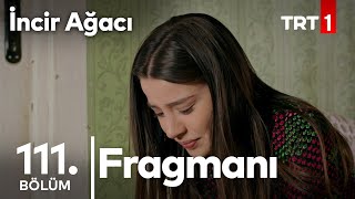 İncir Ağacı 111. bölüm fragmanı