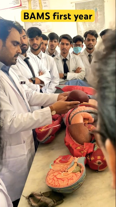 BAMS first year 😌#ytshort #bams #dailyvlog #mbbs #ayurveda #neetmotivation #neet2024 #neetaspirant