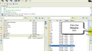 How To Manage Files In Ace FTP screenshot 4