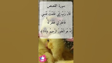 قال رب بما أنعمت علي فلن أكون ظهيرا للمجرمين | سورة القصص #دعاء_ورسالة