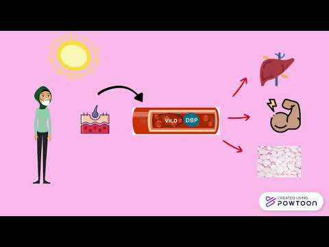 10 Sumber Makanan Enak Bergizi Terbaik untuk Vitamin B Kompleks