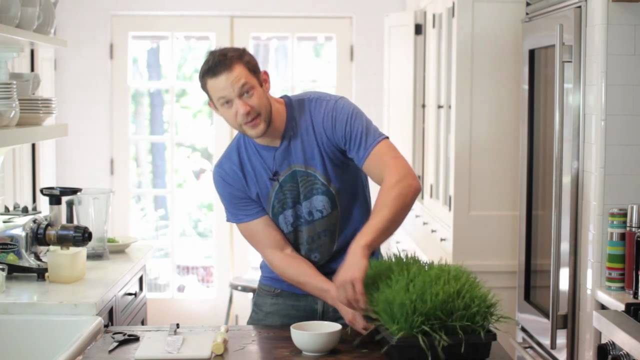 Top 6 Wheatgrass Tips! - WTF! S4 Ep 1 - YouTube