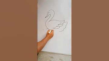how to draw a swan easy || drawing for beginners 🦢🦢🎨🎨 #shorts #youtubeshorts #drawing
