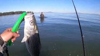 Best Striper Fishing in The Bay Area