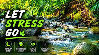 Stress Relief &amp; Deep Sleep River Sounds 🍃 Tropical Forest Calm
