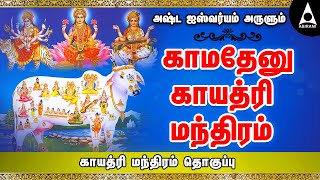 காமதேனு காயத்ரி மந்திரம் || அஷ்ட ஐஸ்வர்யம் அருளும் பாடல் || Kamadhenu Gayathri Manthram || #Bhakti screenshot 3