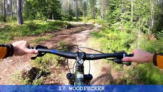 Trysil Mountainbike Woodpecker