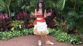 Moana Appears For Disney+ Day 11/12/2021 at Disney's Hollywood Studios, Walt Disney World