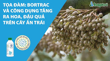 Tọa đàm: Bortrac và công dụng tăng ra hoa, đậu quả trên cây ăn trái