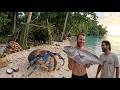 A survival challenge on a tropical island.