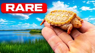 RARE Snapping Turtle Unboxing + Tank Set Up!!