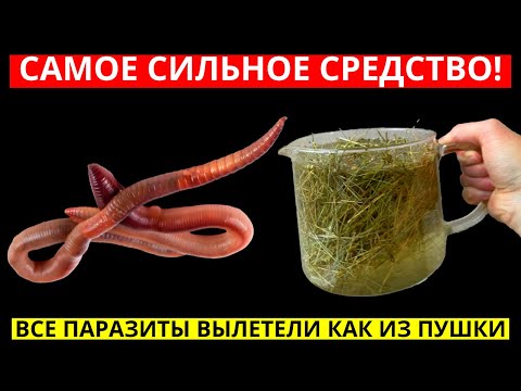 САМОЕ СИЛЬНОЕ СРЕДСТВО ОТ ПАРАЗИТОВ (ГЛИСТОВ)