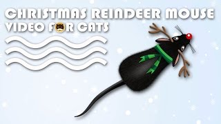 Cat Games - Christmas Reindeer Mouse! Mouse Video For Cats | Cat Tv.