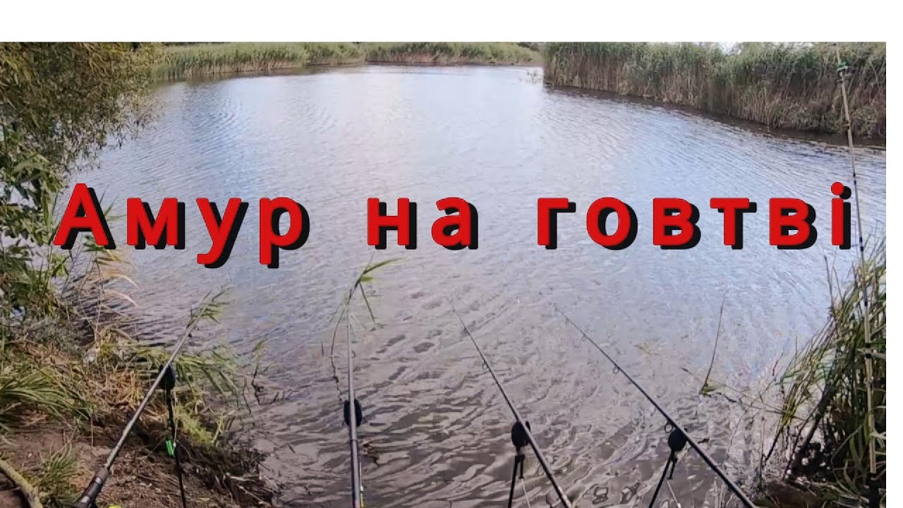 Рибалка на Амура р Говтва