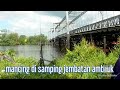 Mancing ikan sembilang dapatnya mlah ikan kok kok