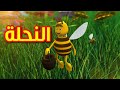 النحلة - قناة بيبي الفضائية | Toyor Baby Channel