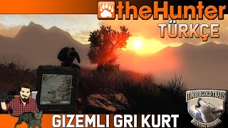 Gi̇zemli̇ Gri̇ Kurt - Thehunterclic - Türkçe