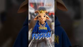 1° DIA JOGANDO AP NA @FUSION ATÉ COMPRAR UM MOBILADOR!👀