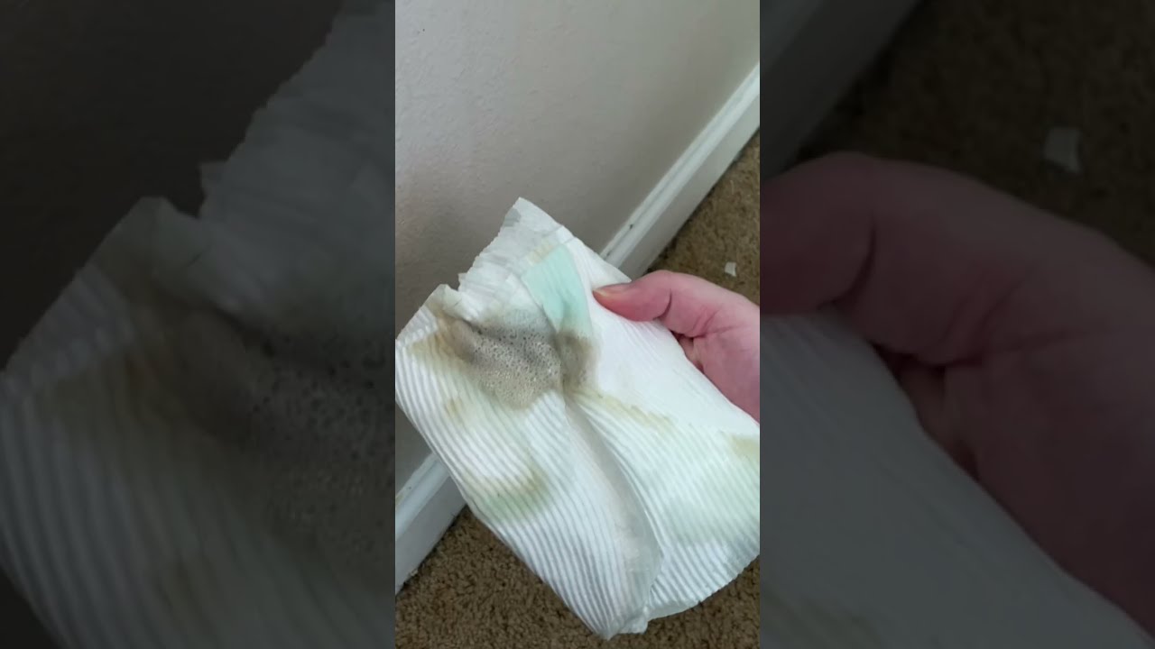 CLEANING MY BASEBOARDS| GIANT DOGS EDITION 