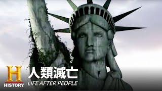 人類滅亡後の世界「残された死体〈前編〉」人類滅亡  LIFE AFTER PEOPLE  S1 1/2