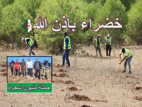 انطلاق حملة غرس مليون شجرة بالجزائر مع فؤاد الجزائر الخضراء و الرجال يوم 25 اكتوبر 2025