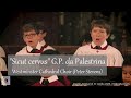 Capture de la vidéo Palestrina "Sicut Cervus" | Westminster Cathedral Choir (Peter Stevens) | Help Musicians Uk