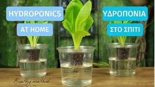 The easiest hydroponic method for growing at home. Kratky  #υδροπονία #hydroponics
