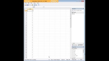 Stata label variables