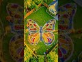 GIANT BUTTERFLY PARADISE