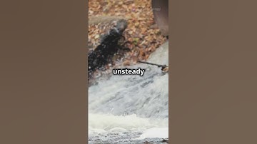 🔥 Steady vs. Unsteady Flow Explained in 60 Seconds! 🚀💨