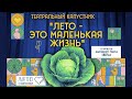 Театральный капустник &quot;Лето - это маленькая жизнь&quot; от Народного театра &quot;ВЕРА&quot; ЦКиИ г.Руза.