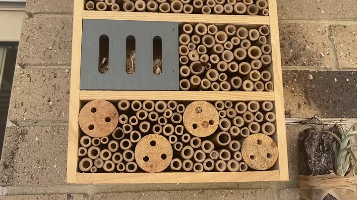 New Tenants