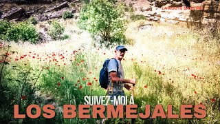 Suivez-moi à Los Bermejales. Ma vie en camping-car.