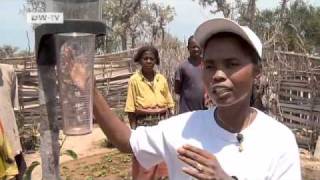 Water Management in Madagascar | Global 3000