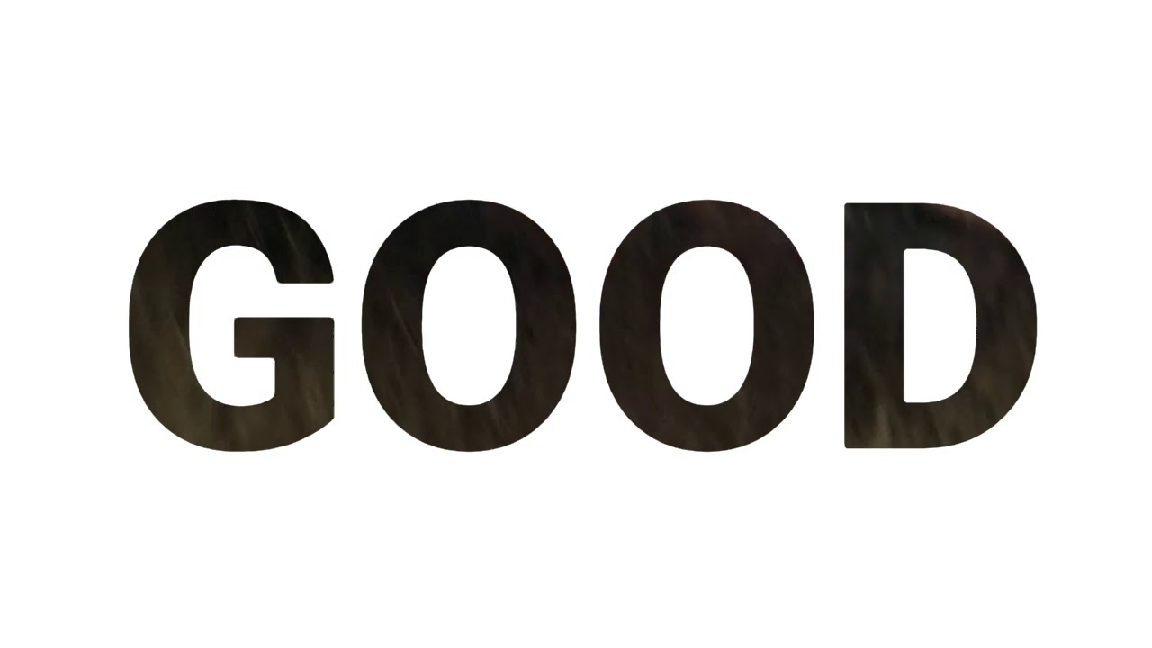 FOUR LEGS GOOD TWO LEGS BAD YouTube