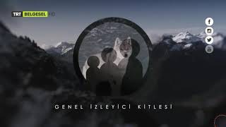 Trt Belgesel - Genel İzleyici Kitlesi