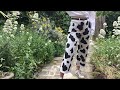 DIY - Cow Print Jeans - Paint Your Own Clothes