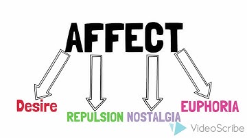 Barthes for Beginners - Photography and Affect