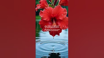 القارئ اسلام صبحي