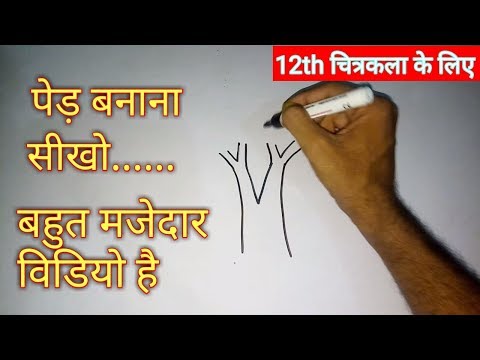 वीडियो: पेड़ों को खींचना कैसे सीखें