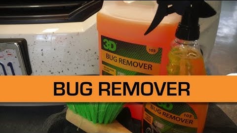 3D Bug Remover EXTREME!!