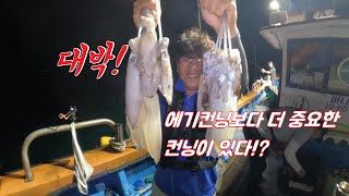 무늬오징어 팁런낚시 에기컨닝도 중요하지만 더 중요한게 있습니다! big fin squid